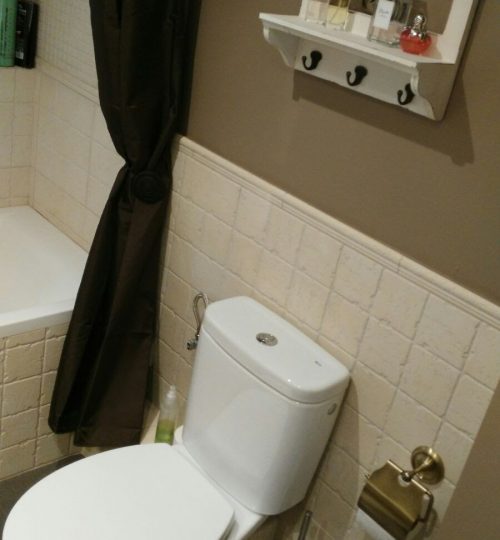 WhatsApp Image 2023-01-11 at 3.52.26 PM (3)